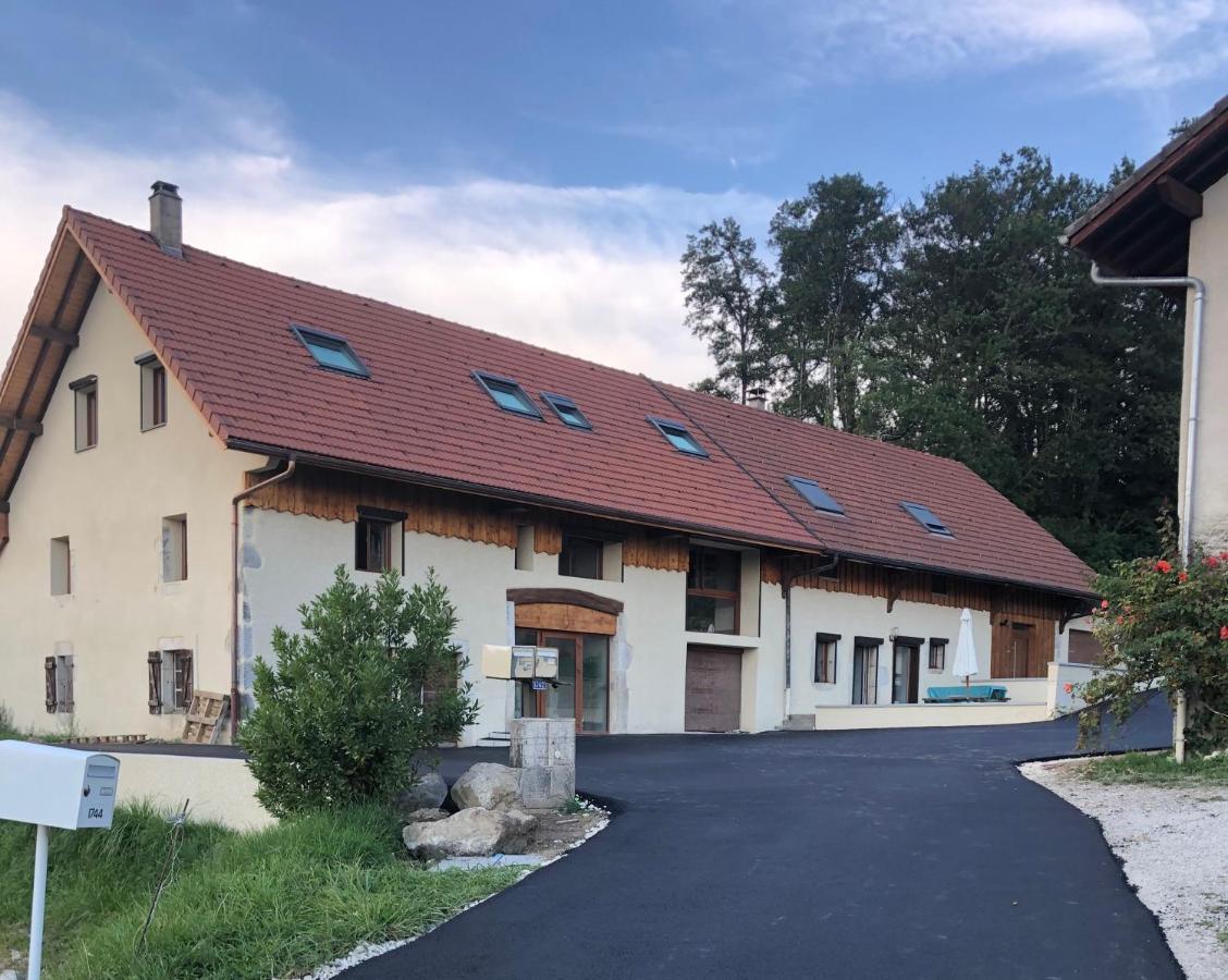 Saint-Martin-Bellevue T2 Meuble De 40M2 Axe Annecy/Geneve 아파트 외부 사진